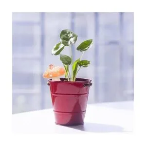 4 piezas de setas de cerámica para jardín decoración de_6