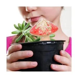 4 piezas de setas de cerámica para jardín decoración de_7