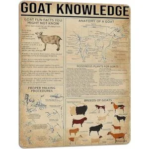 PAIION Cartel de metal de conocimiento de cabra con estaño_1