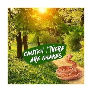 Boa Constrictor gigante grande de peluche serpiente_3