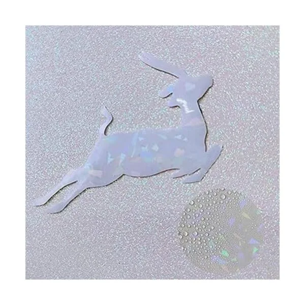 Papel adhesivo holográfico transparente de vidrio roto de_5