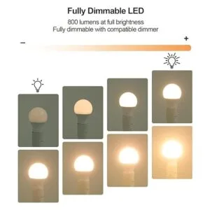 DEWENWILS Paquete de 10 bombillas LED A19 regulables luz_3