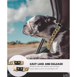 Collar de cadena dorada para perro collar de perro de_3