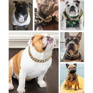 Collar de cadena dorada para perro collar de perro de_6