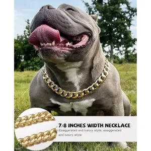 Collar de cadena dorada para perro collar de perro de_2
