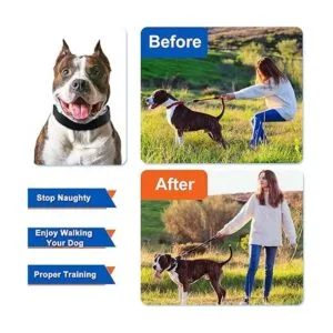 Supet Collar de punta de perro collar ajustable para_2