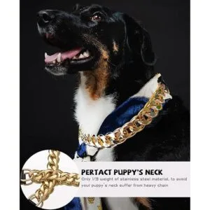 Collar de cadena dorada para perro collar de perro de_4
