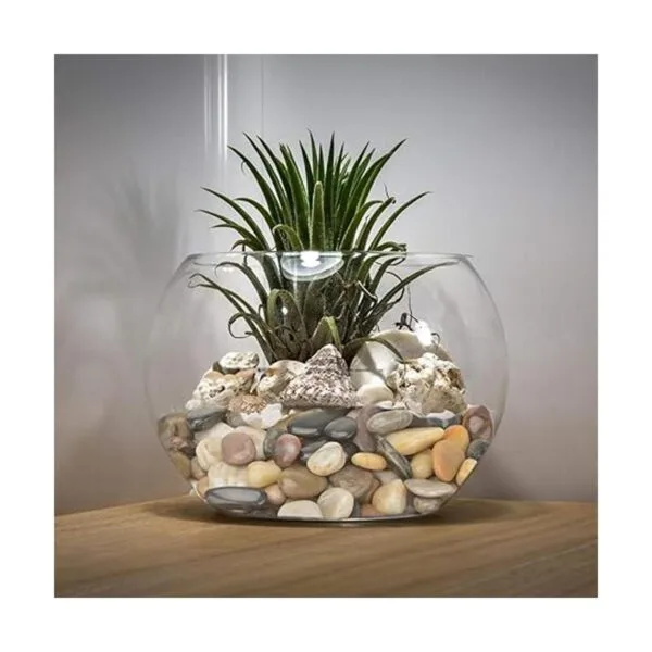 Mr. Figlass Piedras decorativas de piedra natural para_4