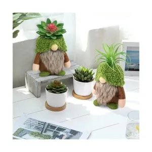 Gnomos suculentas plantas verdes gnomos suecos de felpa_2