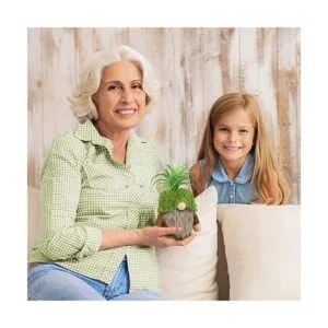 Gnomos suculentas plantas verdes gnomos suecos de felpa_6