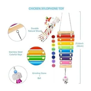 7 Packs Chicken Toys for Chicken Coop Accessories Chicken_3