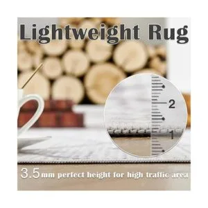 JINCHAN Area Rug 2x3 Entryway Grey Modern Rug Kitchen Low_5