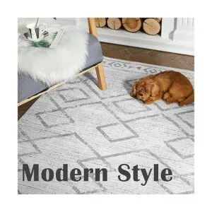 JINCHAN Area Rug 2x3 Entryway Grey Modern Rug Kitchen Low_6