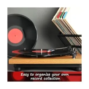 Divisor de discos de vinilo divisor de plástico_4