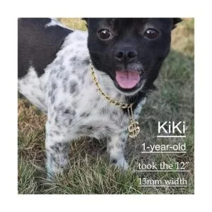 Glitter King Collar de perro dorado de 0.39 pulgadas_5