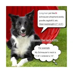 Glitter King Collar de perro dorado de 0.39 pulgadas_4