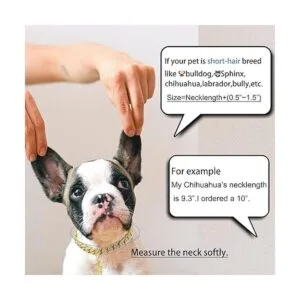 Glitter King Collar de perro dorado de 0.39 pulgadas_3