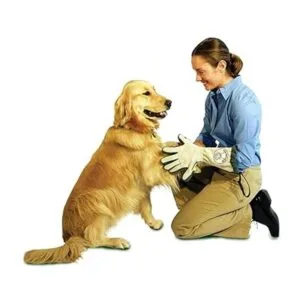 Spotless Paw Limpieza de patas de perro guante de aseo_4
