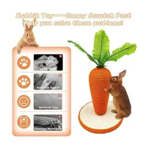 BNOSDM Juguete de poste para rascar de conejo de sisal_5