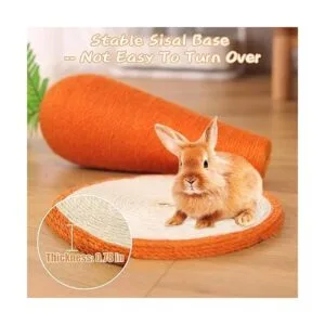 BNOSDM Juguete de poste para rascar de conejo de sisal_4