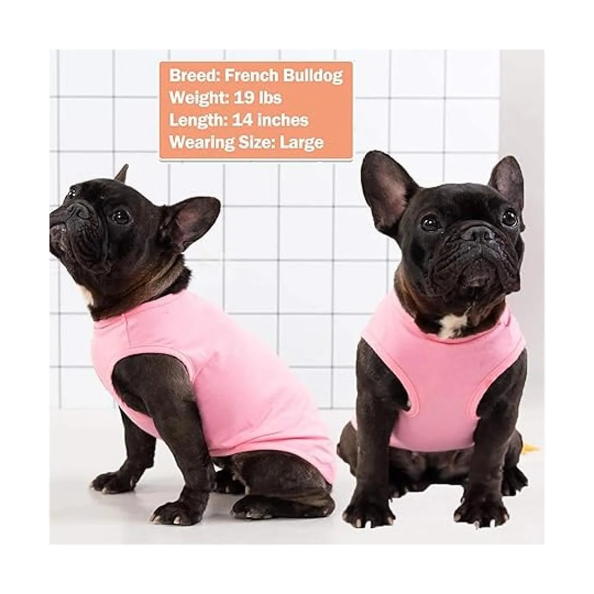 KYEESE Paquete de 2 camisas de perro de algodón a rayas_3