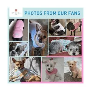 KYEESE Paquete de 2 camisas de perro de algodón a rayas_5