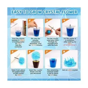 Kit de cultivo de cristal kits de ciencia para niños de 8_3