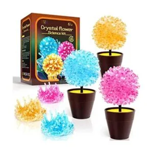 Kit de cultivo de cristal kits de ciencia para niños de 8_1