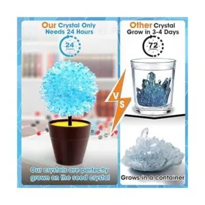 Kit de cultivo de cristal kits de ciencia para niños de 8_2