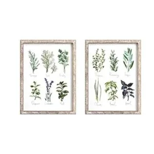 Barnyard Designs Vintage Herb and Spices Placa enmarcada_1