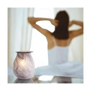 Scentsationals Calentador de cera fundidor eléctrico de_4