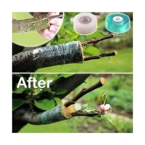 Kit de herramientas de injerto de jardín para árboles_5