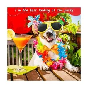 100 corbatas para perros con cuello ajustable de 19_3