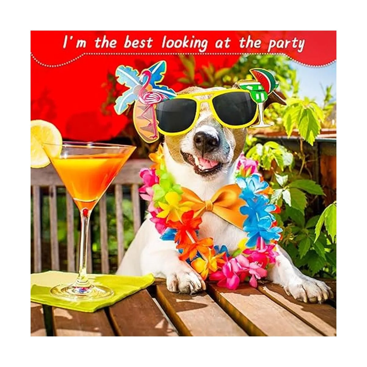 100 corbatas para perros con cuello ajustable de 19_3