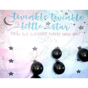 Rool Paquete de ideas para juegos de revelación de género_5