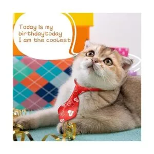 50 corbatas ajustables para el cuello del perro 50 tipos_5