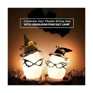 Himalayan Glow Lámpara de sal blanca 6 libras_6