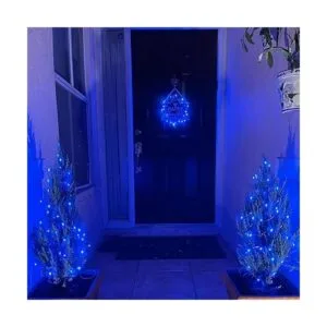 YEGUO Paquete de 4 luces solares azules de Halloween_5