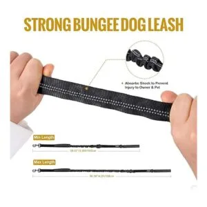 OneTigris Cinturón de seguridad para perro correa_4