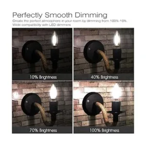 Hizashi Paquete de 12 bombillas de filamento LED CRI de 2_3