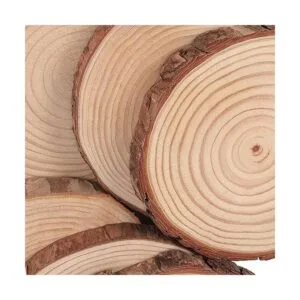 SOUJAP 10 piezas de rebanadas de madera natural de 7 a 8_4