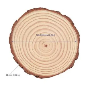 SOUJAP 10 piezas de rebanadas de madera natural de 7 a 8_2