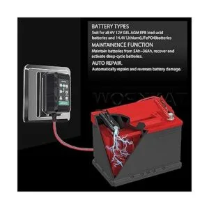 Unocho Cargador de batería de litio LiFePO4 de 12 V de_6