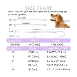 ZALER Juego de collar y correa para perro correas_4