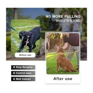 Collar de cadena de oro para perro collar de perro de_5