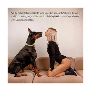 Collar de cadena de oro para perro collar de perro de_4