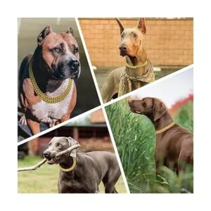 Collar de cadena de oro para perro collar de perro de_7