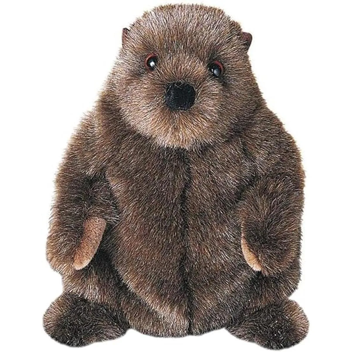 Douglas Chuckwood Groundhog Peluche de peluche_1