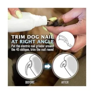 Rexipets Cortadora de uñas para perro recargable_4