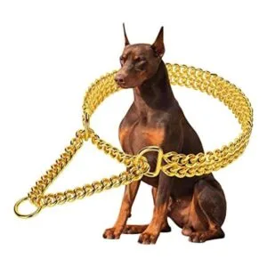 Collar de cadena de oro para perro collar de perro de_1